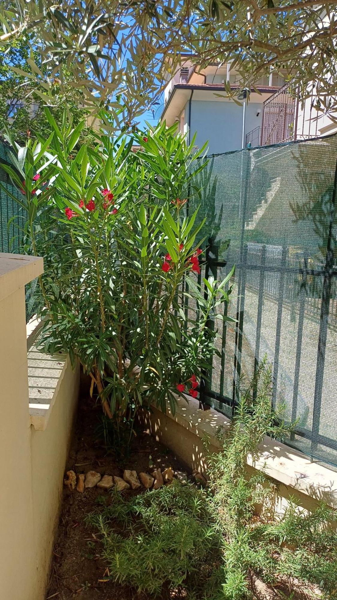 Residence Ducale Rimini Ngoại thất bức ảnh